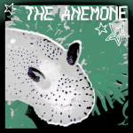 THE ANEMONE