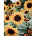 26k_ButterflyVibezz