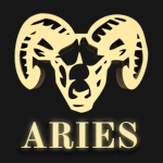Project Aries