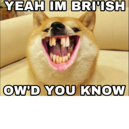 DoGGo Memes