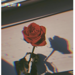 aesthetic home store<3