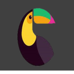 Toucan Studios Club