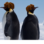 Bacon Hair Penguins