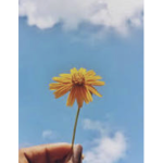 -Tasneem-