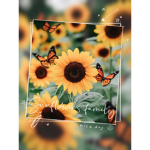 Sunflower’s family