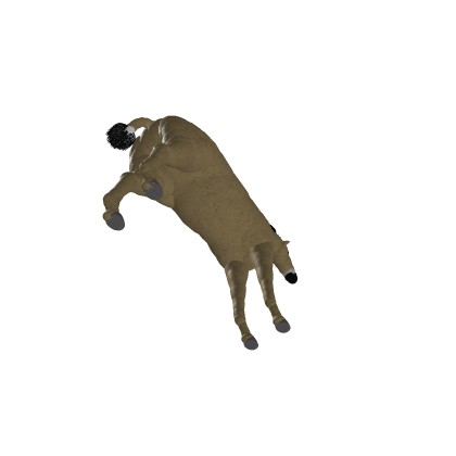 Ancient Horse