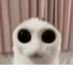 Junoezque