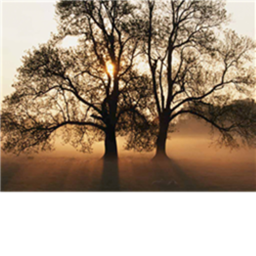 Sunset Therapy and Councelling's Building V.1
