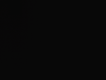 たけのこ撲滅委員会