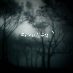 shop epraisea <3