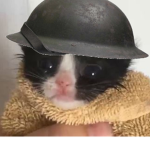 Taco Cat Army