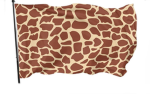 Giraffe Land Community