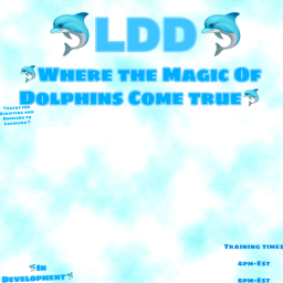 *•Lɪᴛᴛʟᴇ ᴅᴏʟᴘʜɪɴs ᴅᴀʏᴄᴀʀᴇ•*