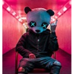 secretpanda