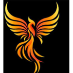 Team TPS Phoenix