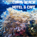 Coral Beach Hotel & Cafe