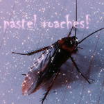 pastel roaches!