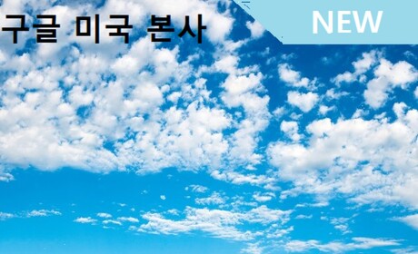 구글 미국 본사 (beta)
