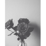 Kc aesthetic