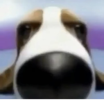 Oof Is Cool B)