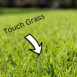 touch grass