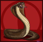 cobra inc.
