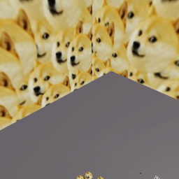 doge doge