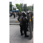 Defense force of Crim D.F.C