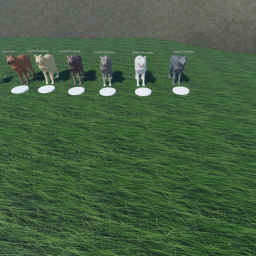 Wolf Rp (UPD)