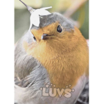 'luvs'