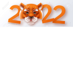 Year of theTiger