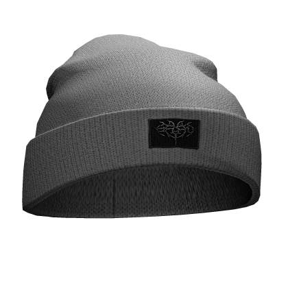 さ grey beanie Roblox item