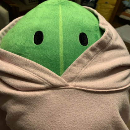 Leafy Plush in hoodie Roblox decal