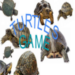 Turtles Game