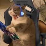 METECEYLAN GAMER TR