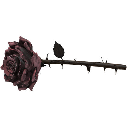 Pink Thorn Rose