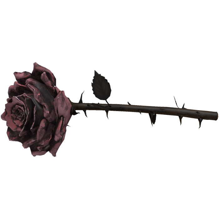 Pink Thorn Rose