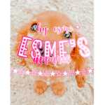 ~ Esme’s Apparel ~