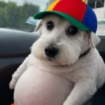 miilaniixX Group Thumbnail