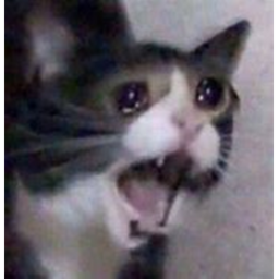this game not working