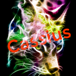 Cashman studios