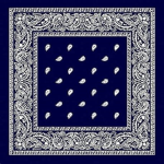polo vibe