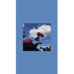 [ Content Deleted 447034 ]