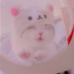 #KITCAT