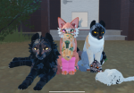 FeatherFly’s filmcrew X3