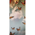 Butterfly's Fans YT