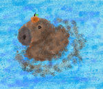 Capybara Team!!