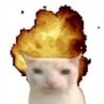 Doge Designers