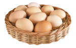DedicatedEggs