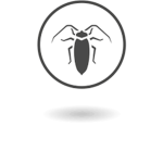 Boktor INC